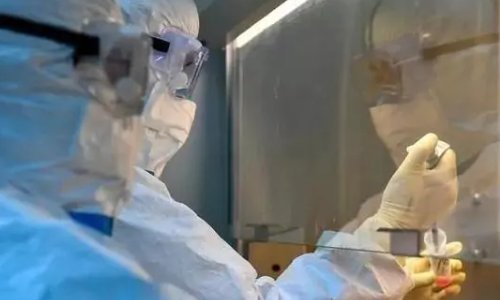 核酸检测报告必须纸质吗