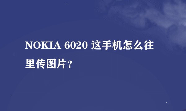 NOKIA 6020 这手机怎么往里传图片？