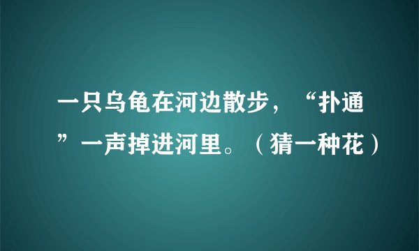 一只乌龟在河边散步，“扑通”一声掉进河里。（猜一种花）