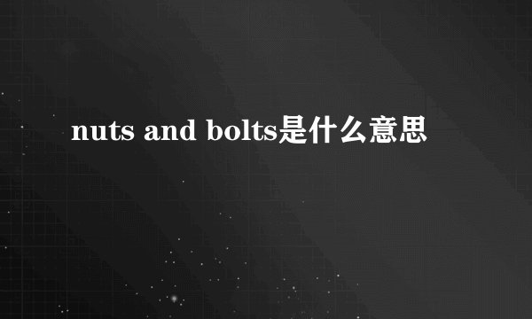 nuts and bolts是什么意思