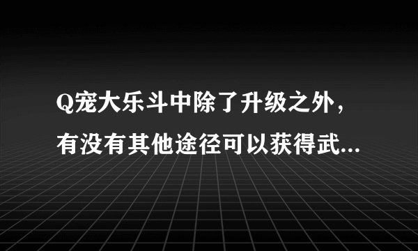 Q宠大乐斗中除了升级之外，有没有其他途径可以获得武器或技能？