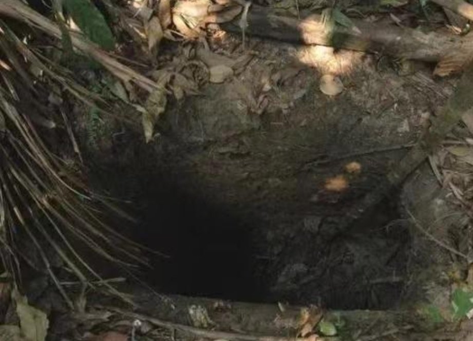 “世上最孤独的人”死了，在族人尽遭杀戮后雨林独活26年，是如何生活的？