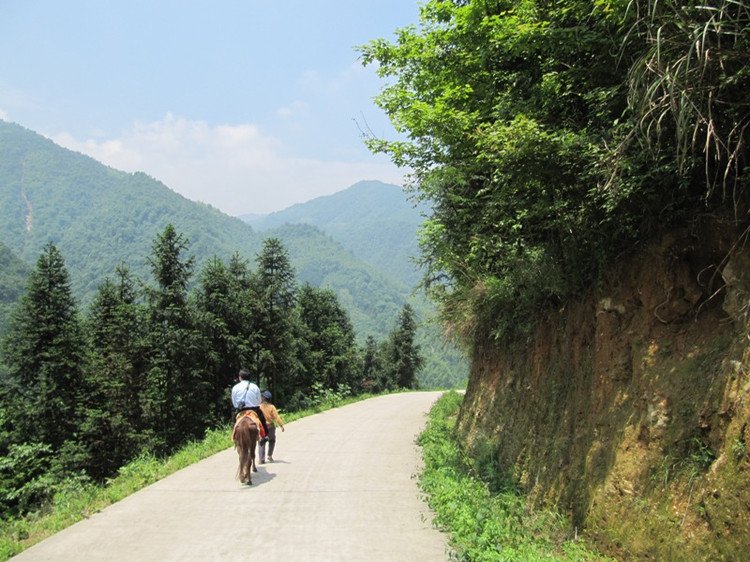 茶马古道歌的介绍