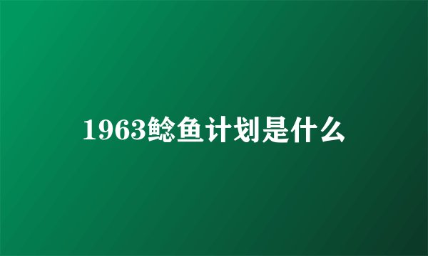 1963鲶鱼计划是什么