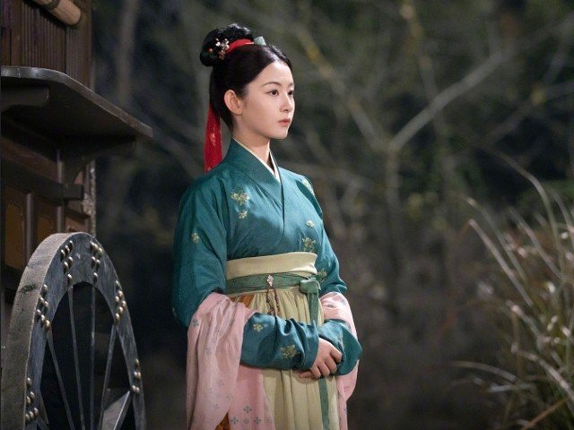 为有暗香来电视剧总共多少集