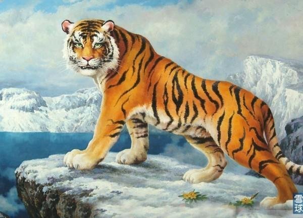 河南一景区内两只老虎袭人外逃被击毙，官方为何会选择击毙这两只老虎？