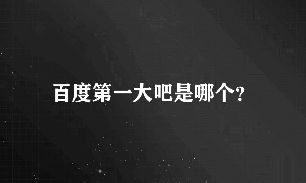 百度第一大吧是哪个？