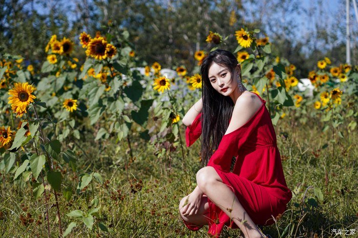 不容错过的红裙诱惑，佳人，瑞虎8PLUS，京都之间的“三角恋”