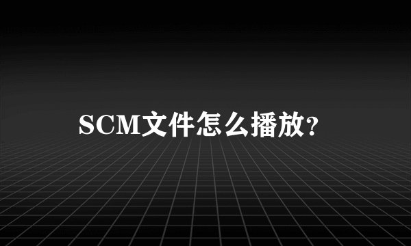 SCM文件怎么播放？