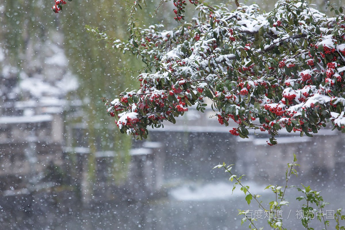 今朝若是同淋雪,此生也算共白头全诗是什么？