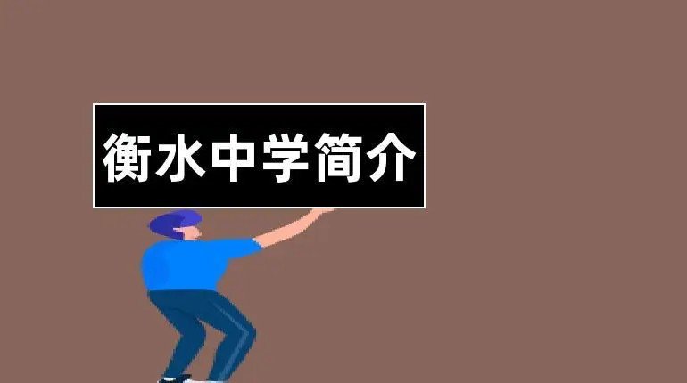 衡水中学张锡峰高考考了多少分