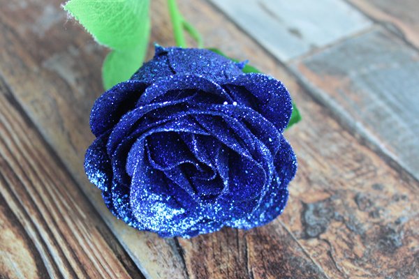 蓝色妖姬如何养