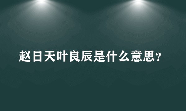 赵日天叶良辰是什么意思？