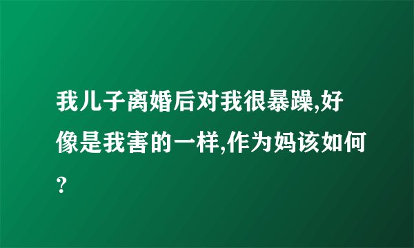 我儿子离婚后对我很暴躁,好像是我害的一样,作为妈该如何？