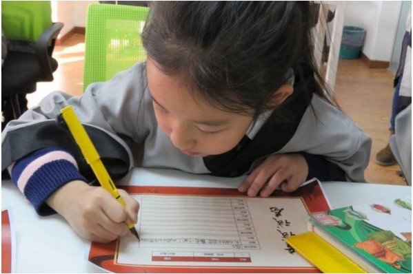 探索后妈的桃花源作文怎么写？