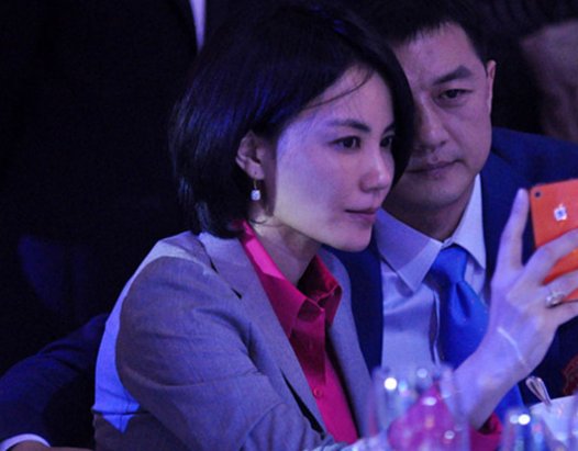 李亚鹏和王菲怎么在一起的