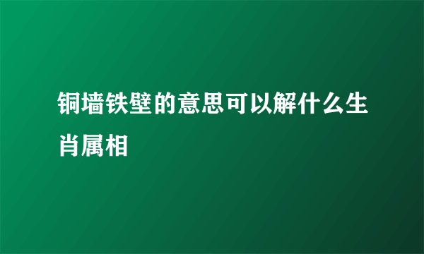 铜墙铁壁的意思可以解什么生肖属相