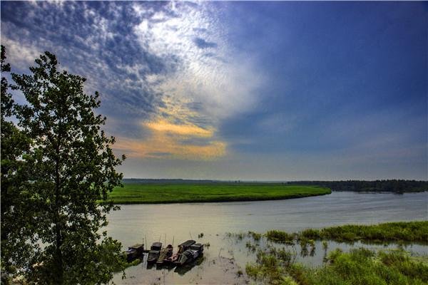 旱灾致洞庭湖大量鱼类被困死亡，造成的损失有多严重？