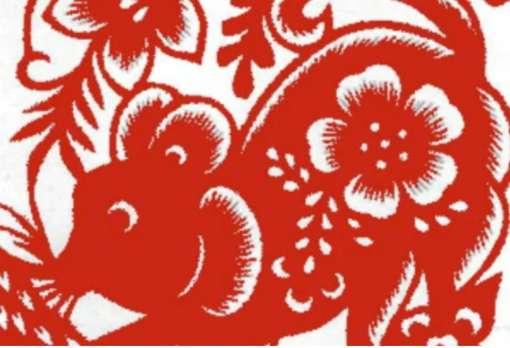 大地春雷打一精准生肖