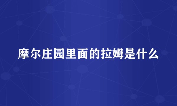 摩尔庄园里面的拉姆是什么