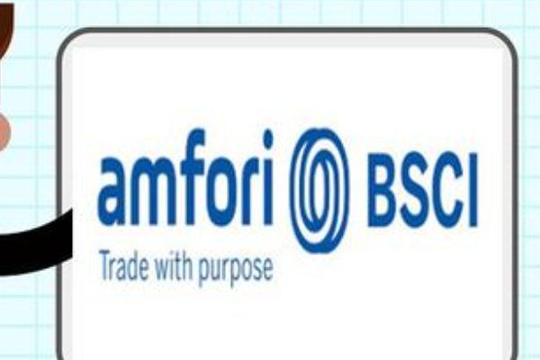 bsci验厂大概多少费用