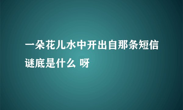 一朵花儿水中开出自那条短信谜底是什么 呀