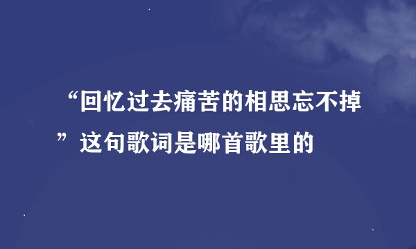 “回忆过去痛苦的相思忘不掉”这句歌词是哪首歌里的