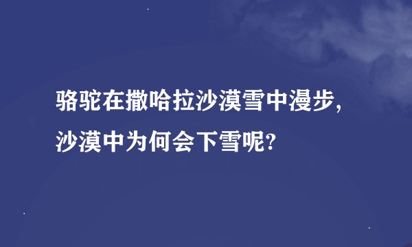 骆驼在撒哈拉沙漠雪中漫步,沙漠中为何会下雪呢?