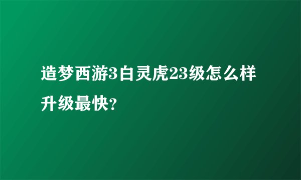 造梦西游3白灵虎23级怎么样升级最快？