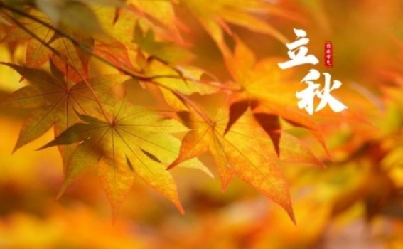 2023年立秋是几点几分几秒晚秋