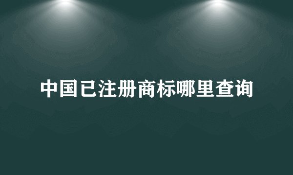 中国已注册商标哪里查询