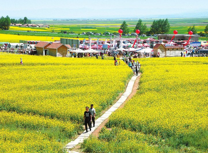 国家扶持的农业项目有哪些？