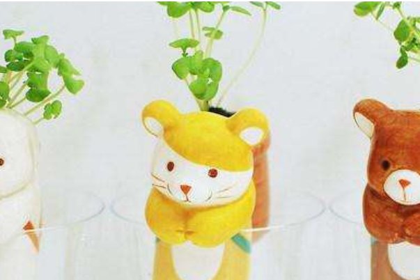 哪些动物的尾巴会再生