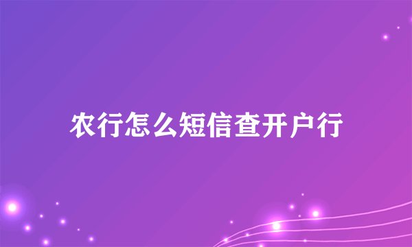 农行怎么短信查开户行