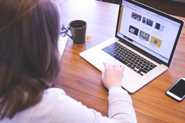 综评学生端怎么登录