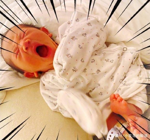 应采儿首晒一家四口合照，如今的他们怎样了呢？