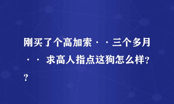 刚买了个高加索··三个多月·· 求高人指点这狗怎么样？？