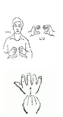 有谁知道冰凌花的手语怎么比！字面教学！