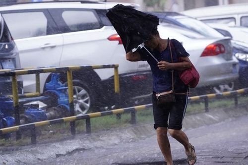 台风“纳沙”来袭！海南的螃蟹被“吹上”码头，此次台风的威力有多大？