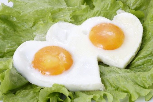 卵黄磷蛋白的介绍