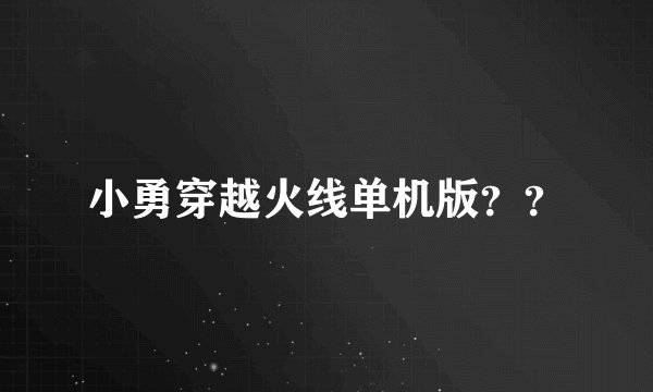 小勇穿越火线单机版？？