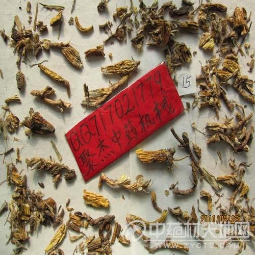 石三棱的生药材鉴定