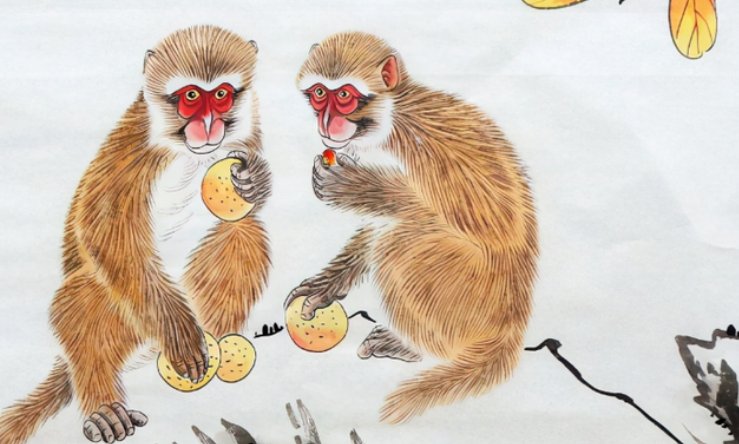 嫌肥挑瘦打一动物生肖