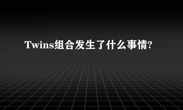 Twins组合发生了什么事情?