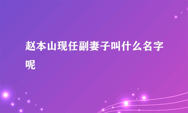 赵本山现任副妻子叫什么名字呢