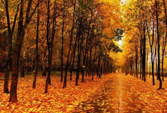 2023年立秋是几点几分几秒晚秋