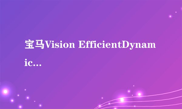 宝马Vision EfficientDynamics 大概多少钱？
