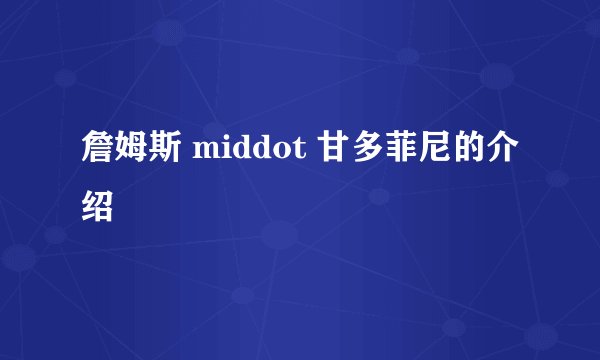 詹姆斯 middot 甘多菲尼的介绍