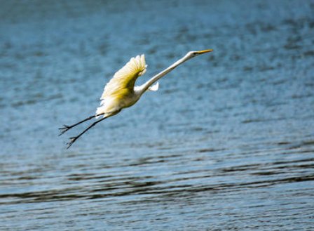 霎时的霎怎么组词