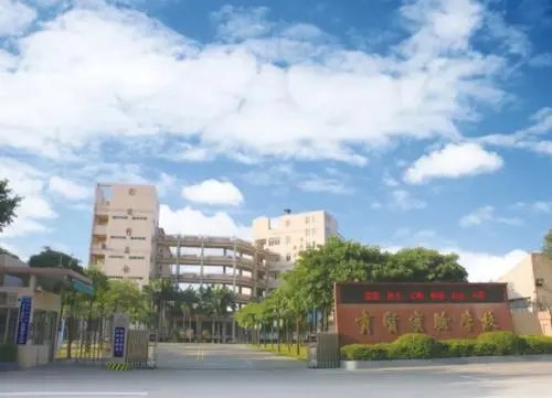 新华社还原成都49中学生坠亡事件，整个事件是怎样的？